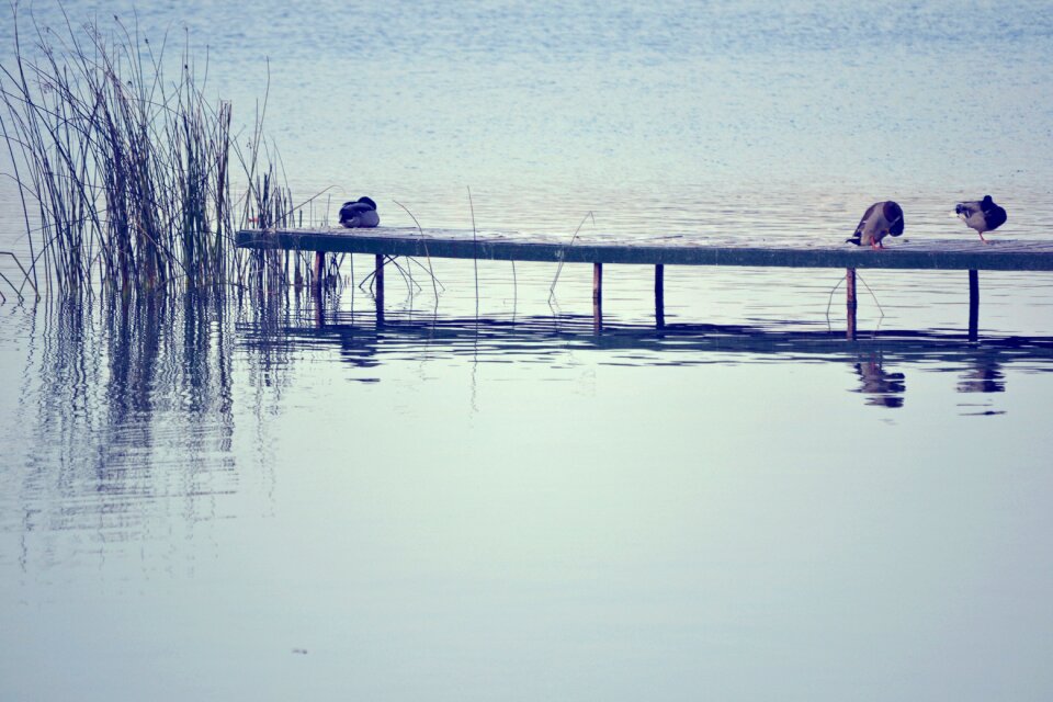 Reflection overcast sky landscape