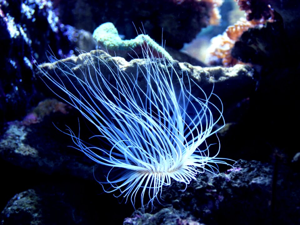 Coral harbour marine
