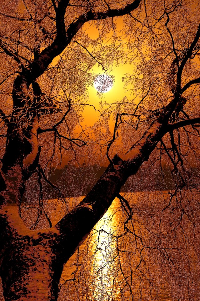 Abendstimmung landscape silhouette
