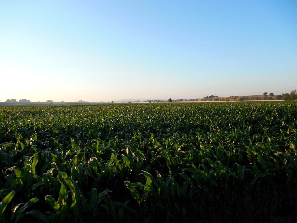 Agriculture harvest arable