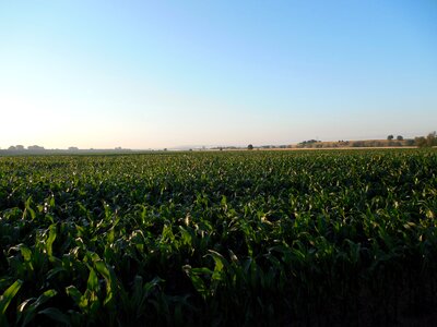 Agriculture harvest arable