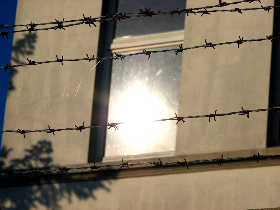 Fence thorn security