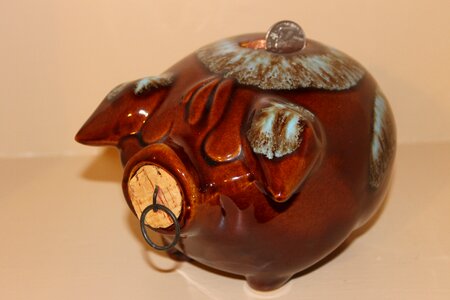 Savings banks money