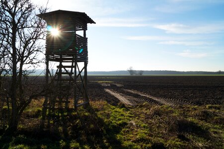 Sun field evening
