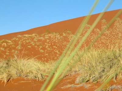 Landscape sand sossusvlei photo