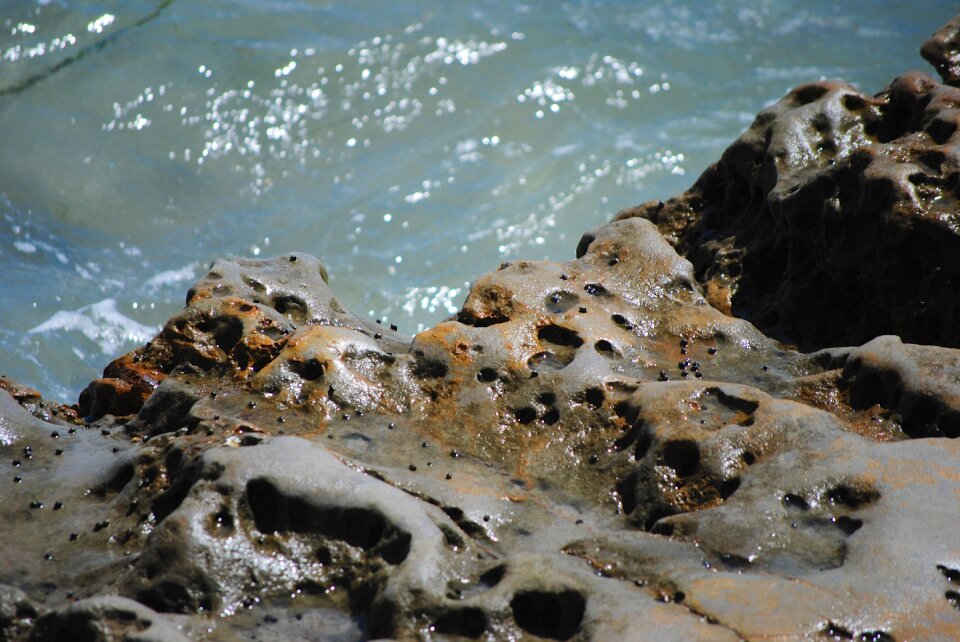 Pacific summer coast
