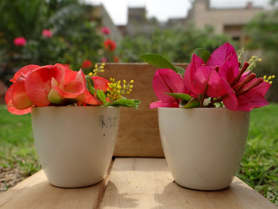 Spring floral pink