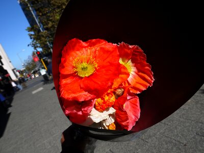 Red flora