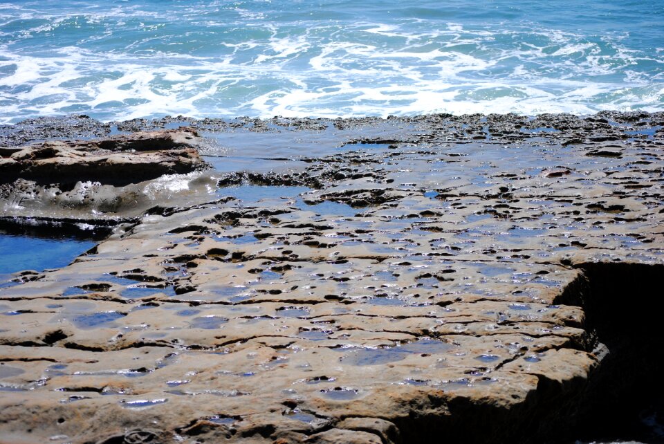 La jolla nature ocean photo