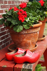 Wooden flowers red