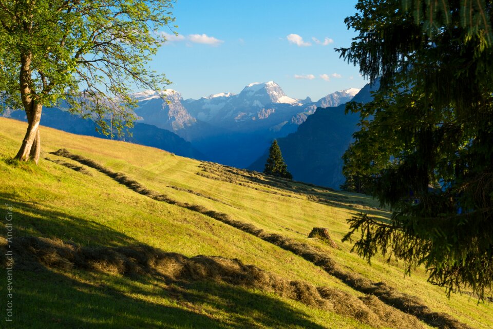 Glarus alps alp summer