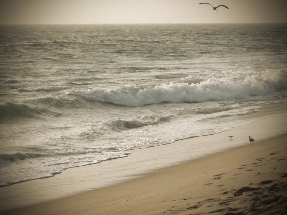California sea ocean