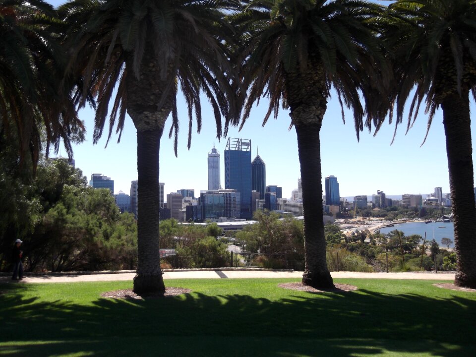 Australia park landscape