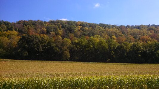 Autumn agriculture field photo
