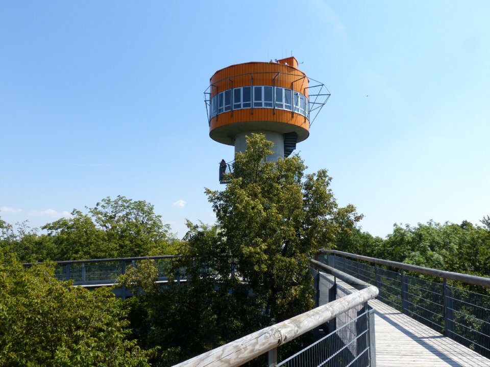 Forest observation tower rondelle