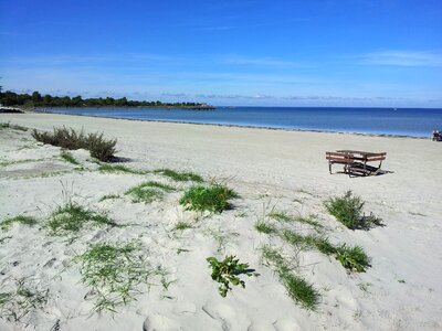 Water sea sand photo