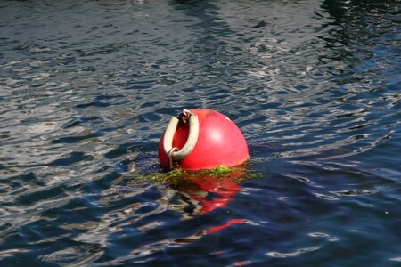Buoy sea fishing