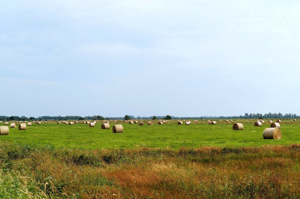 Round bales pet food livestock