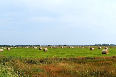 Round bales pet food livestock