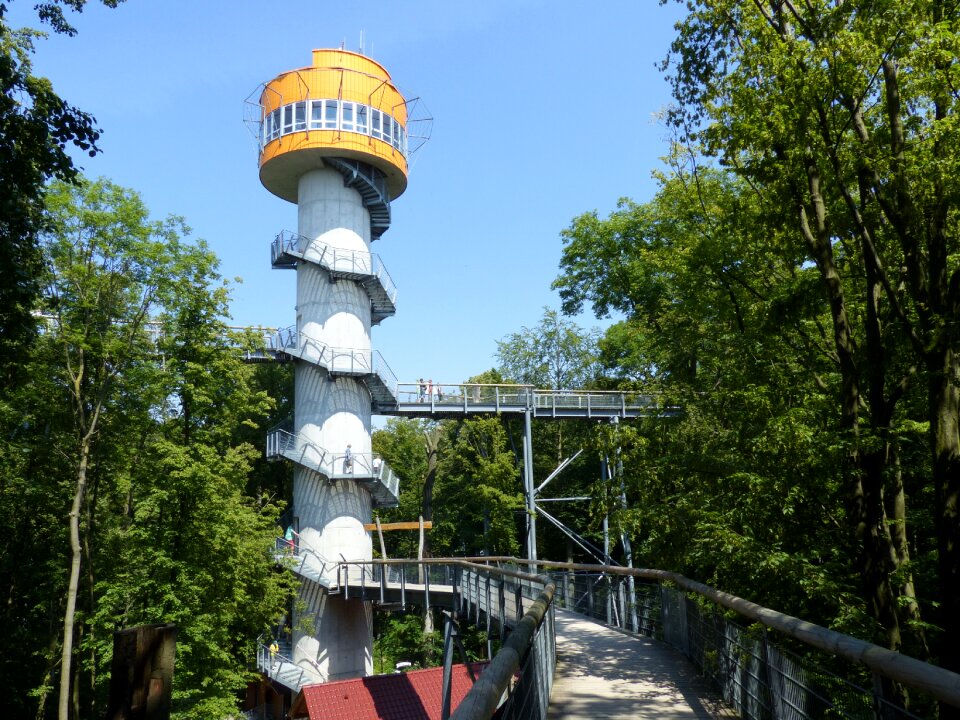 Hainich forest tower