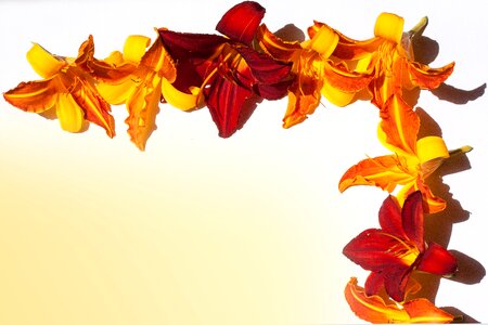 Stationery background greeting card