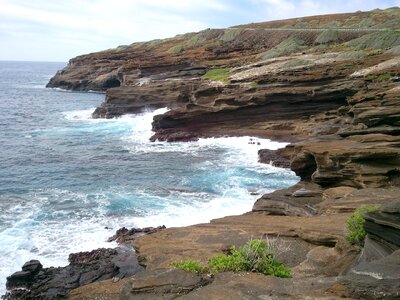 Nature coast cliff photo
