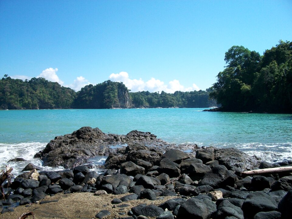 Peaceful water nature