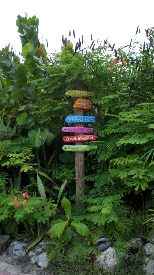 To find abc islands curacao