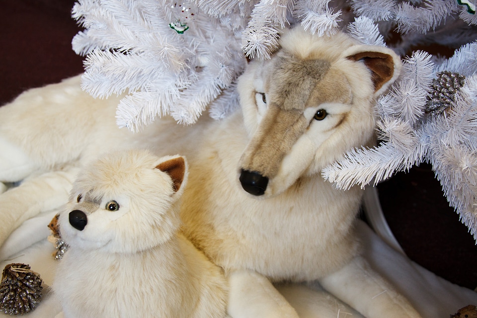 Beautiful christmas cute