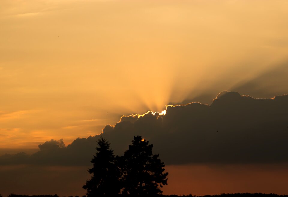 Sunset evening orange