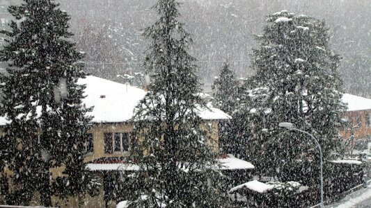 Snow winter cold