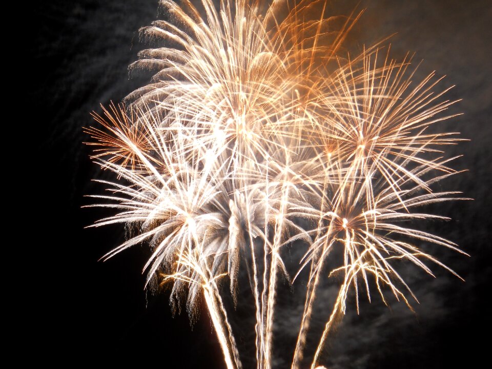 Fireworks 14 july night