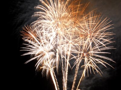 Fireworks 14 july night