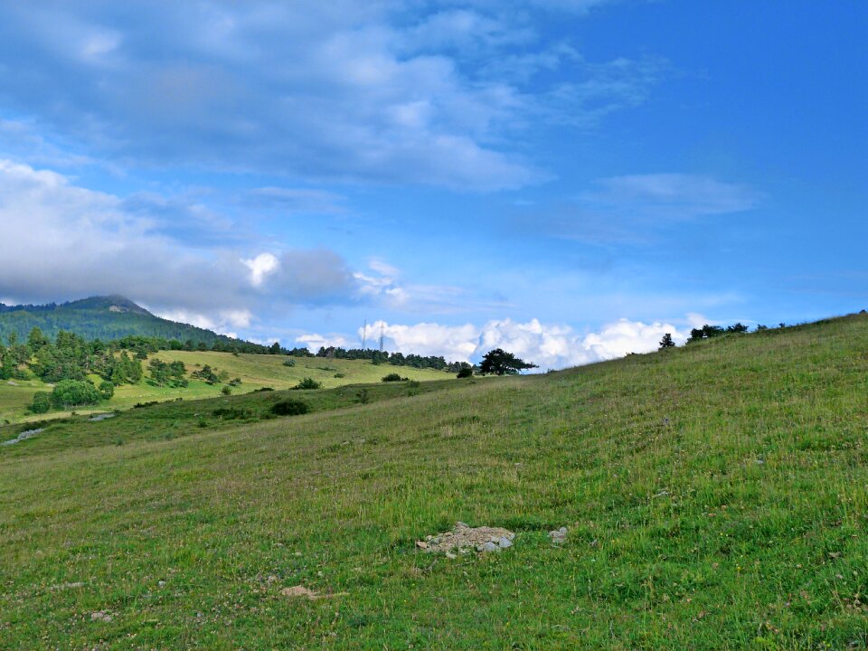 Alps prairie promenade