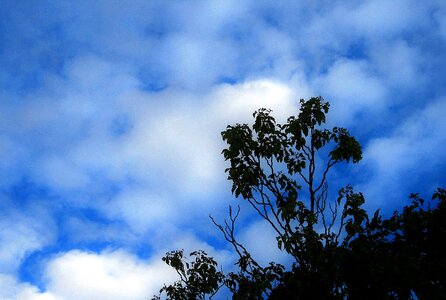 Clouds white scattered