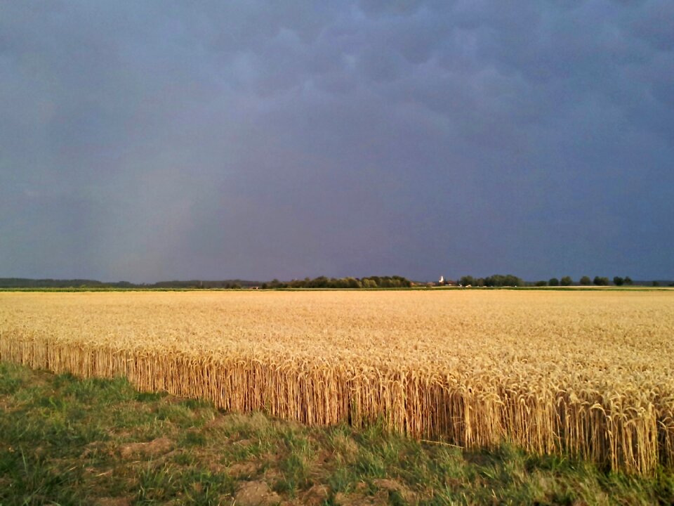 Field thunderstorm gewitterstimmung