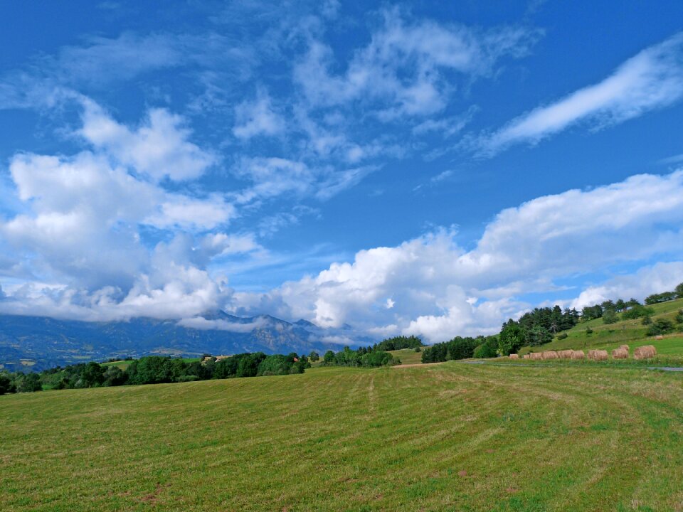 Fields haystacks summer