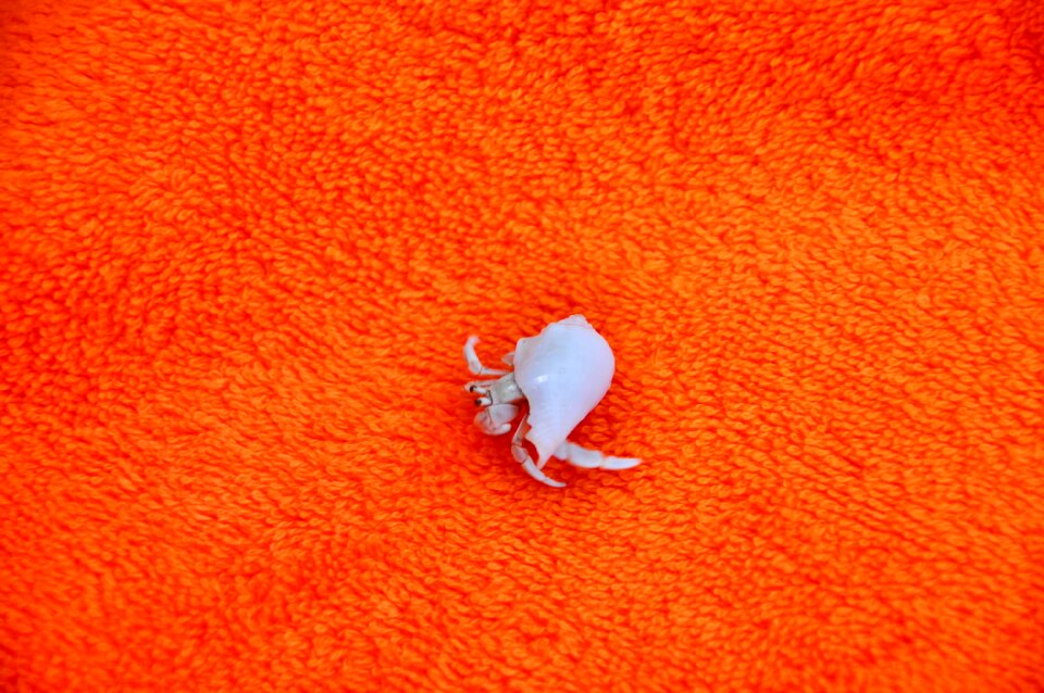 Maldives full moon island orange blanket