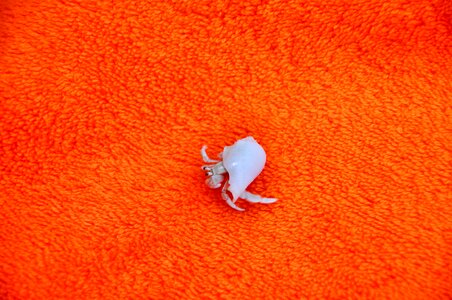 Maldives full moon island orange blanket