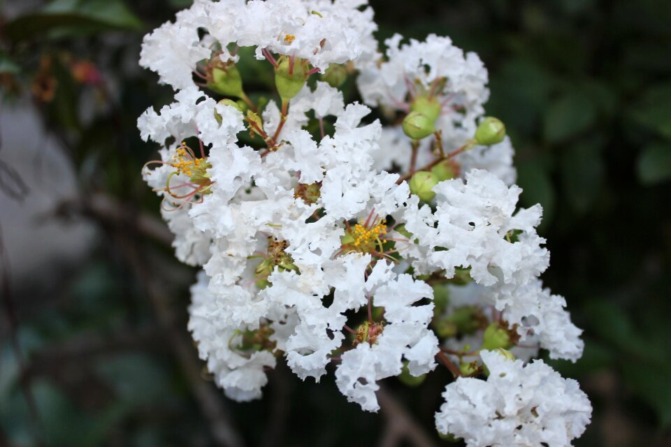 Nature beautiful spring