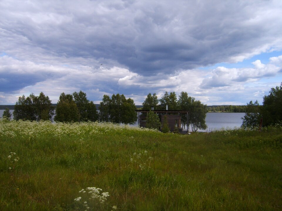 Finnish beach nature