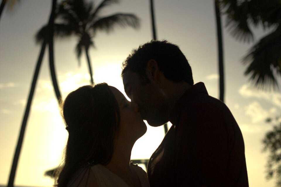 Love romance palms