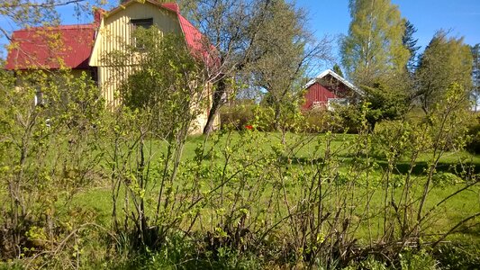 House spring new leaves