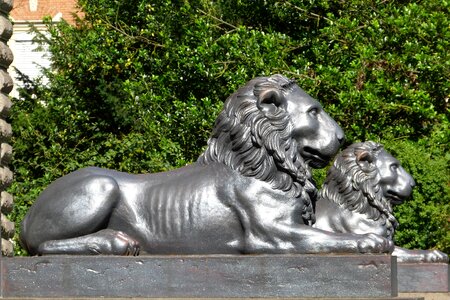 Bronze socket lion statue