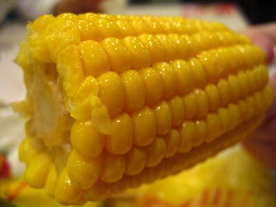 Food kfc corn yellow