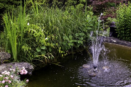 Water nature fountain