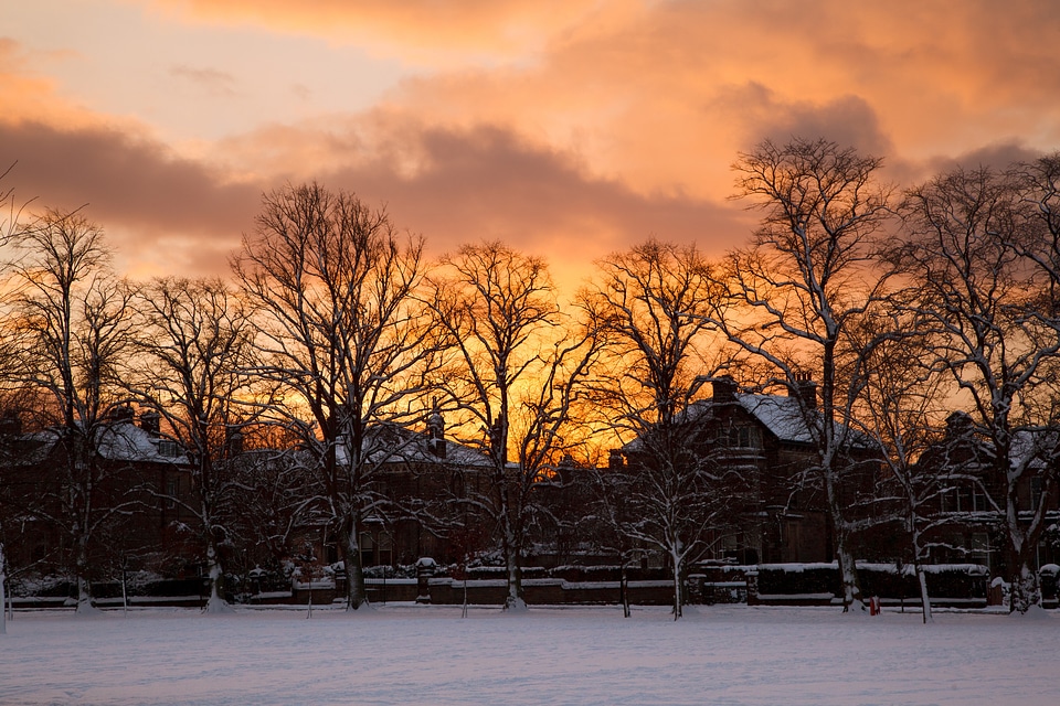 Cold colorful frozen