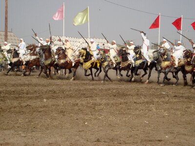 Horses race gun