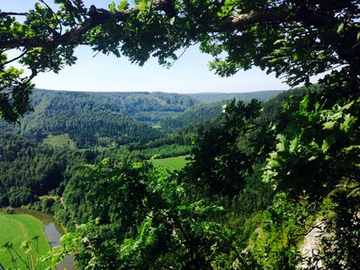 River forest danube photo