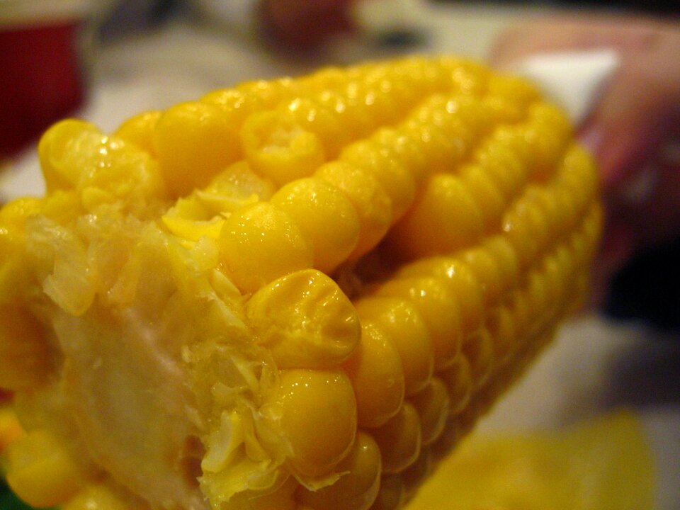 Food kfc corn yellow